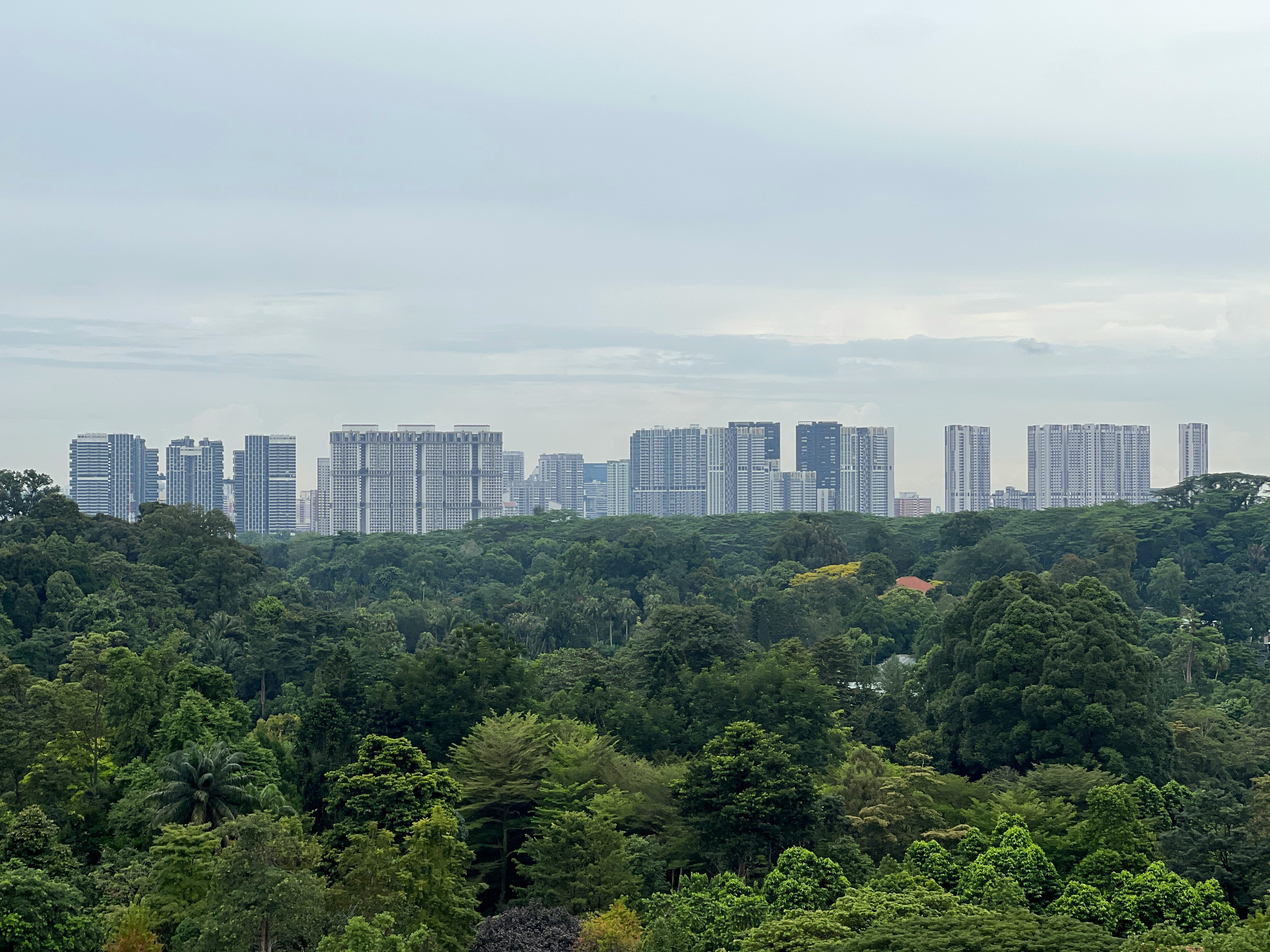 How To Launch A Sustainable Career In Urban Green Sectors