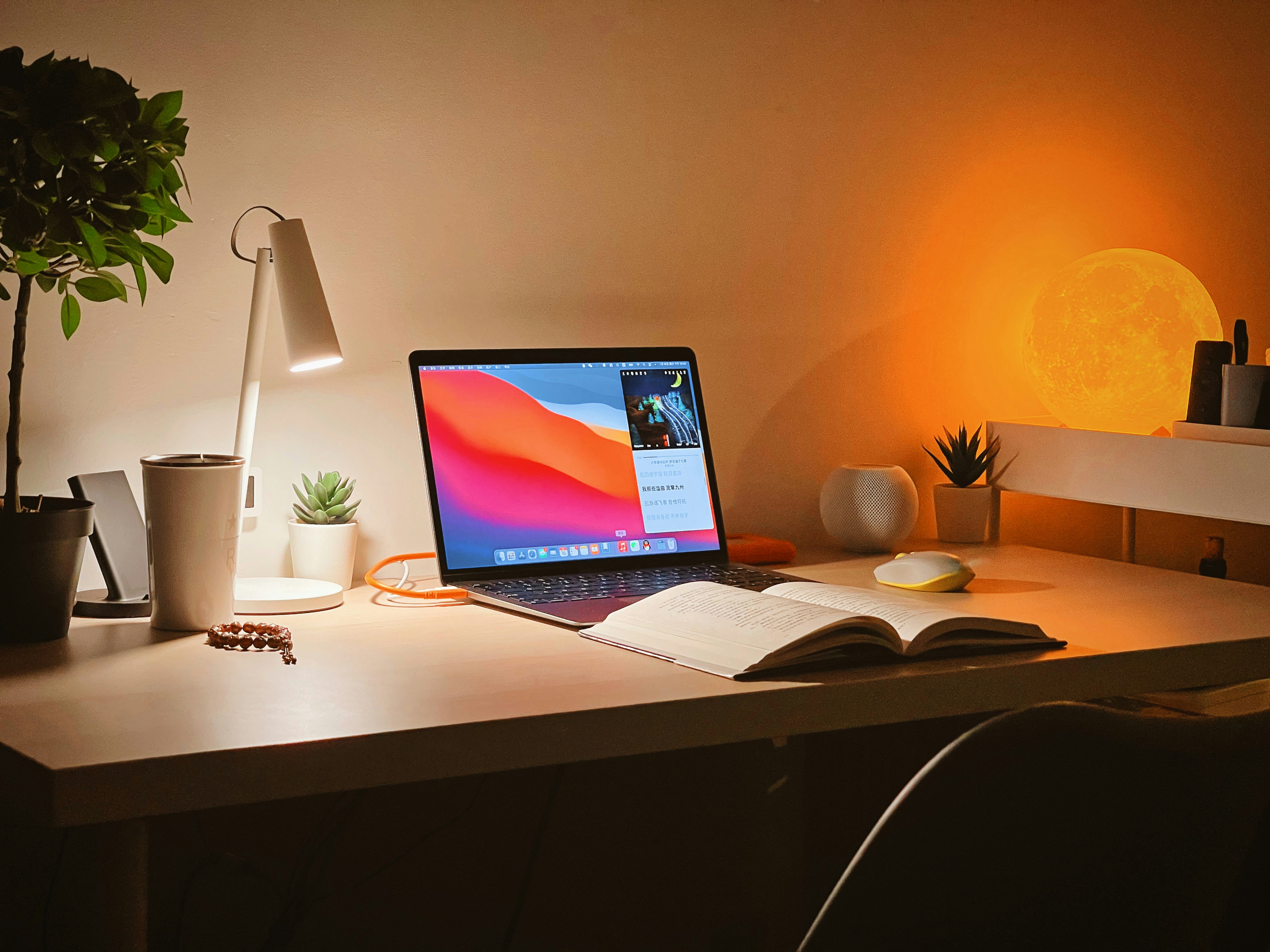 Balancing Work Commitments with Flexible Graduate Study Options
